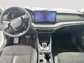 Skoda Octavia Combi Tour 2,0 TDI DSG Pano Matrix CANTO Weiß - thumbnail 6