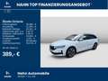 Skoda Octavia Combi Tour 2,0 TDI DSG Pano Matrix CANTO Weiß - thumbnail 2