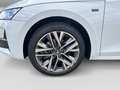 Skoda Octavia Combi Tour 2,0 TDI DSG Pano Matrix CANTO Weiß - thumbnail 5