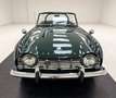 Triumph TR4 Roadster Grün - thumbnail 8