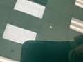 Triumph TR4 Roadster Grün - thumbnail 26