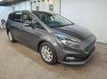 Ford S-Max 2.0 EcoBlue Aut. AHK, Kamera, W-Paket Grau - thumbnail 6