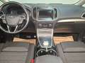 Ford S-Max 2.0 EcoBlue Aut. AHK, Kamera, W-Paket Grau - thumbnail 8