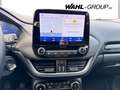 Ford Puma Titanium X *RFK*LED*SHZ*TECH*WINTER* DAB Grau - thumbnail 12