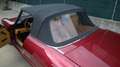 Alfa Romeo Spider Spider 1.6 my90 Roşu - thumbnail 9