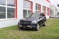 Mercedes-Benz ML 350 ML 350 CDI BlueTec 4Matic (166.024) Blau - thumbnail 7
