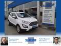 Ford EcoSport Cool & Connect mit leichtem Hagelschaden Weiß - thumbnail 1