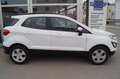 Ford EcoSport Cool & Connect mit leichtem Hagelschaden Weiß - thumbnail 4