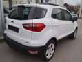 Ford EcoSport Cool & Connect mit leichtem Hagelschaden Weiß - thumbnail 5