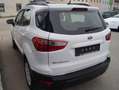 Ford EcoSport Cool & Connect mit leichtem Hagelschaden Weiß - thumbnail 7