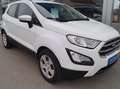 Ford EcoSport Cool & Connect mit leichtem Hagelschaden Weiß - thumbnail 3