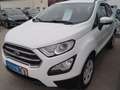 Ford EcoSport Cool & Connect mit leichtem Hagelschaden Weiß - thumbnail 8