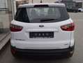 Ford EcoSport Cool & Connect mit leichtem Hagelschaden Weiß - thumbnail 6