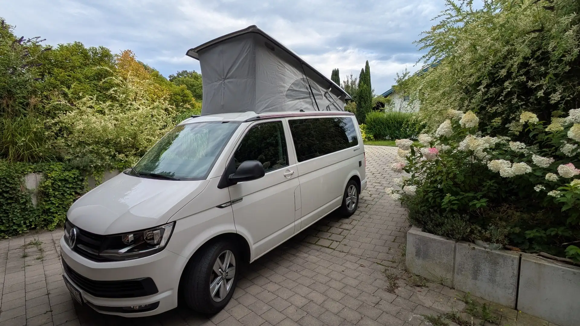Volkswagen T6 California California Beach Alb - 1