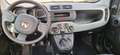 Fiat Panda Panda III 2021 1.0 firefly hybrid city life Grigio - thumbnail 13