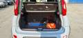 Fiat Panda Panda III 2021 1.0 firefly hybrid city life Grigio - thumbnail 11