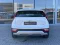 Kia Niro 1.6 GDI PHEV Plug-In Hybrid ComfortLine | Navigati Wit - thumbnail 6