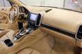 Porsche Cayenne 3.0 Diesel "" TETTO PANORAMICO / SERVICE PORSCHE"" Noir - thumbnail 13