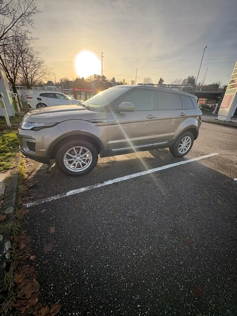 Land Rover Range Rover Evoque Pure Braun - 2