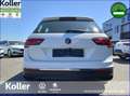 Volkswagen Tiguan Tiguan 1.5 TSI DSG Navi Kamera eHeckklappe Blanco - thumbnail 7