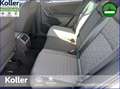 Volkswagen Tiguan Tiguan 1.5 TSI DSG Navi Kamera eHeckklappe Blanco - thumbnail 19
