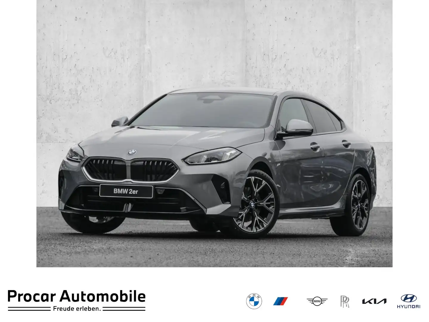 BMW 220 d M Sport H/K DA+ PA RFK LED Klima - 1