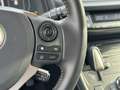 Lexus CT 200h Business Line NL-AUTO AD-CRUISE DAB+ PARK-SENSOR Grau - thumbnail 18