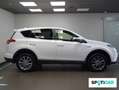 Toyota RAV 4 2.5l hybrid 2WD  Pack Drive Advance Blanco - thumbnail 4