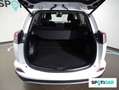 Toyota RAV 4 2.5l hybrid 2WD  Pack Drive Advance Blanco - thumbnail 6