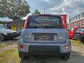 Fiat Panda Panda 1,0 FireFly Hybrid 70 Hybrid Hybrid Grau - thumbnail 6