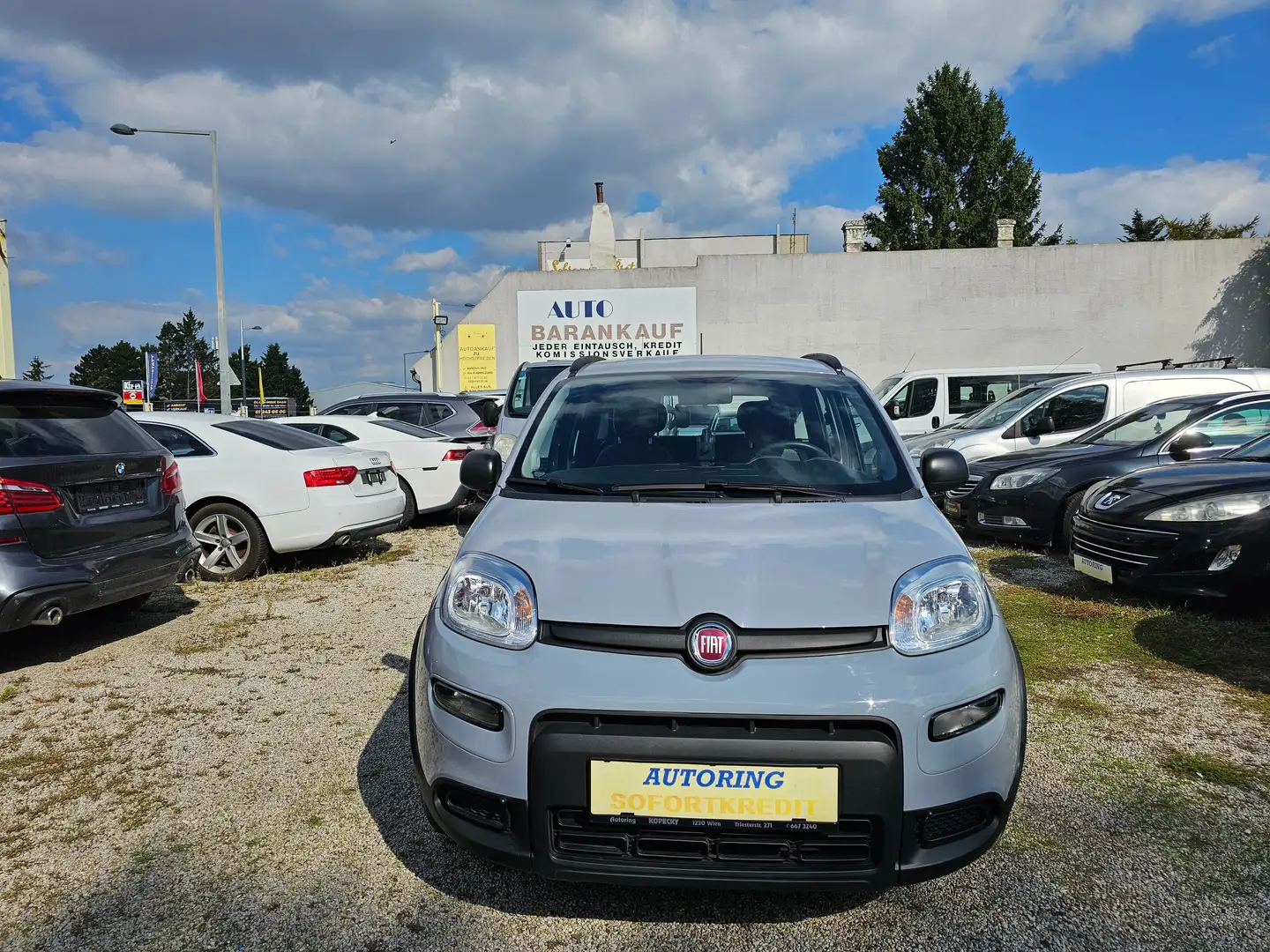 Fiat Panda Panda 1,0 FireFly Hybrid 70 Hybrid Hybrid Grau - 2