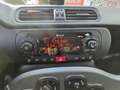 Fiat Panda Panda 1,0 FireFly Hybrid 70 Hybrid Hybrid Grau - thumbnail 12