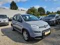 Fiat Panda Panda 1,0 FireFly Hybrid 70 Hybrid Hybrid Grau - thumbnail 3