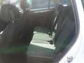 Volkswagen Tiguan 2.0 TDI DSG LIFE *AHK *LED *ACC *NAVI *SHZ * Weiß - thumbnail 13