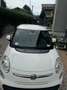 Fiat 500L 0.9 t.air t. natural power Lounge 80cv E6 - thumbnail 4