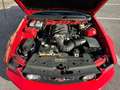 Ford Mustang MUSTANG 4.6 V8 GT COUPE MANUALE SUPERBOLLO MINIMO Rot - thumbnail 10