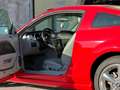 Ford Mustang MUSTANG 4.6 V8 GT COUPE MANUALE SUPERBOLLO MINIMO Rouge - thumbnail 12