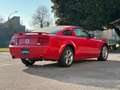 Ford Mustang MUSTANG 4.6 V8 GT COUPE MANUALE SUPERBOLLO MINIMO Rouge - thumbnail 5
