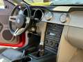 Ford Mustang MUSTANG 4.6 V8 GT COUPE MANUALE SUPERBOLLO MINIMO Rot - thumbnail 15