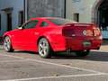 Ford Mustang MUSTANG 4.6 V8 GT COUPE MANUALE SUPERBOLLO MINIMO Rouge - thumbnail 7