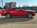 Ford Mustang MUSTANG 4.6 V8 GT COUPE MANUALE SUPERBOLLO MINIMO Rouge - thumbnail 4