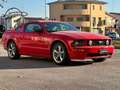 Ford Mustang MUSTANG 4.6 V8 GT COUPE MANUALE SUPERBOLLO MINIMO Rot - thumbnail 3