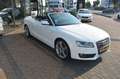 Audi A5 Cabriolet 2.0 TFSI AUT|Clima|Cruise|NAV|LED|Dealer Wit - thumbnail 4