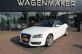 Audi A5 Cabriolet 2.0 TFSI AUT|Clima|Cruise|NAV|LED|Dealer Wit - thumbnail 12