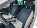 Volkswagen Passat Variant 2.0 TDI DSG 3,99 % Business HUD AD AHK-klappbar Na Weiß - thumbnail 17