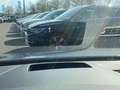Volkswagen Golf VIII 1.5TSI DSG Edition 50 Jahre Blau - thumbnail 23