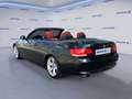 BMW 320 320d cat Cabrio Eletta Nero - thumbnail 3