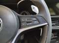 Alfa Romeo Stelvio - Stelvio 2.2 Turbodiesel 190 CV AT8 Q4 Executive Rojo - thumbnail 21