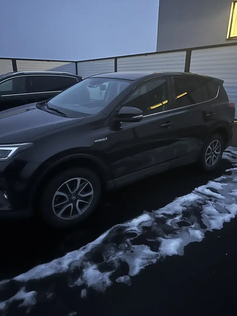 Toyota RAV 4 RAV4 2,5 Hybrid Active 2WD Aut. - 2