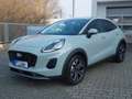Ford Puma Titanium AUTOM Navi LED ACC Winterp Grau - thumbnail 3